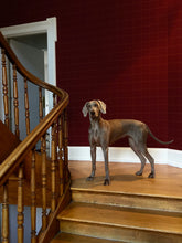 Charger l'image dans la galerie, Pinpoint est une partition dynamique de lignes horizontales et verticales tracées à la main. Son rythme évoque un espace infini où « les ondes en vibrations se rencontrent et leur rencontre engendre une nouvelle vibration d’où jaillit la vie et le mouvement perpétuel » (Georges Vantongerloo, « Réflexions », 1917 in de Stijl n°9/11, juillet 1918). De sa teinte de vert sombre quasi noir se dégage une atmosphère rassurante, sereine et élégante.