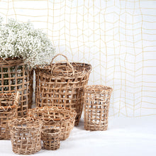 Charger l'image dans la galerie, SPRANG Curry